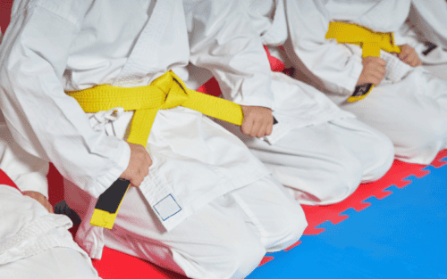 Taekwondo Gürtel Erwachsene Test: Die 10 besten (Bestenliste)