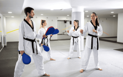 Taekwondo Trittschutz Test: Die 10 besten (Bestenliste)